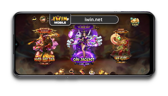 iwin-net